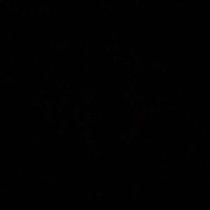 Meet your Posher, Paw